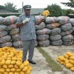 Western Marine Customs Hands Over Cannabis Stative Seizures worth over N704m to NDLEA