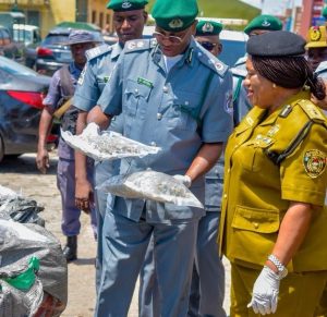N16.6bn Drug Bust at Lagos TinCan Port: Customs, NDLEA Tighten Noose on Transnational Smuggling Syndicates